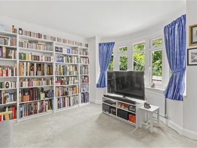 Picture 7